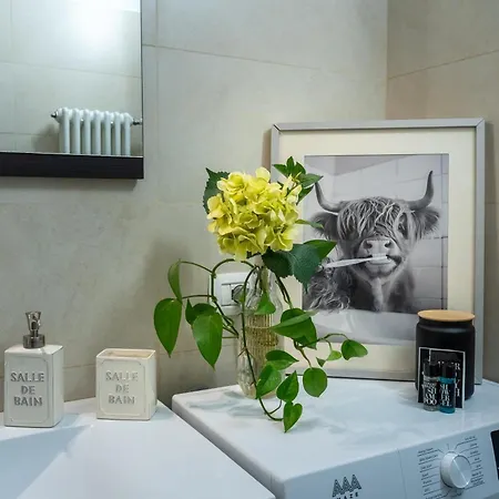 Apartamento Homy Charme&relax